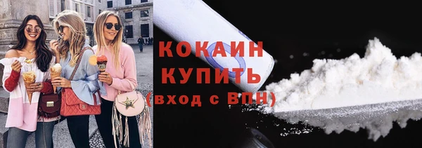 ешки Бородино