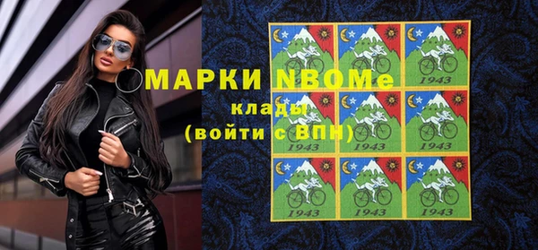 ешки Бородино