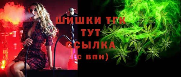 ешки Бородино